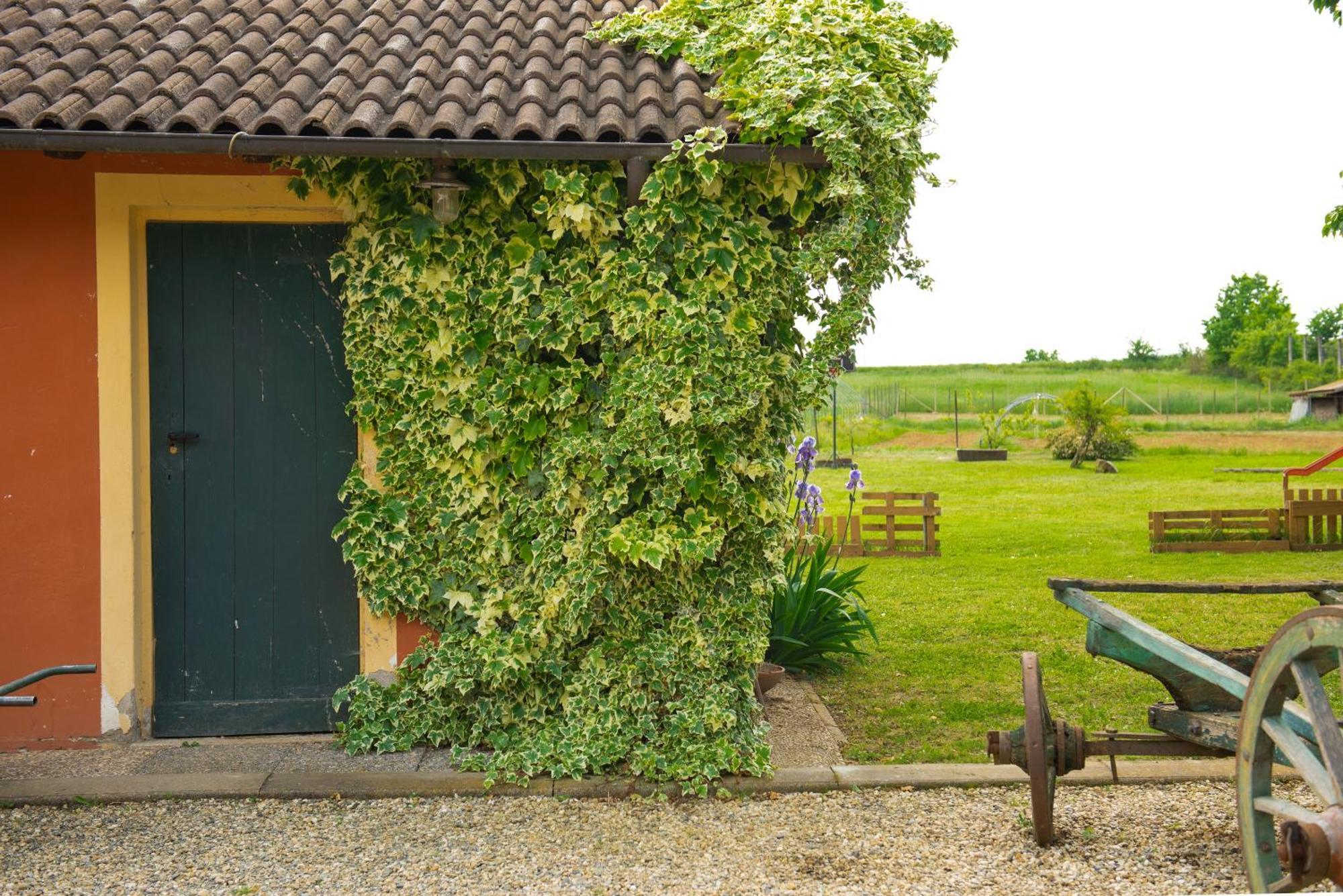 Country House Cascina Orto Pasturana Exterior photo